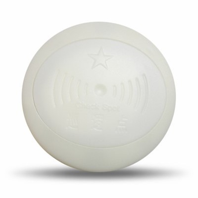 Mga Tag han RFID nga Punto han Pag-usisa